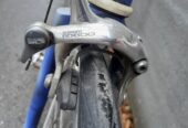 Cilo Velo für Rennradtouren oder als Citybike
