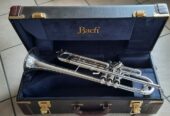 Vincent Bach Trompete Stradivarius Model 43 Bb Versilbert
