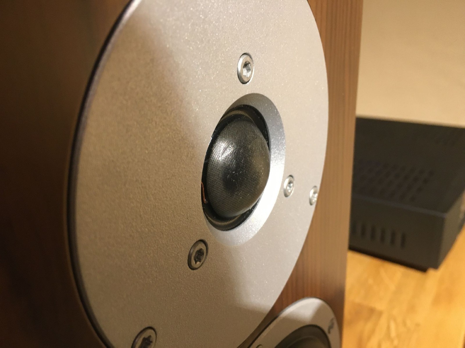 Dynaudio Focus 200 XD – walnuss Aktiver Regallautsprecher