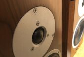 Dynaudio Focus 200 XD – walnuss Aktiver Regallautsprecher