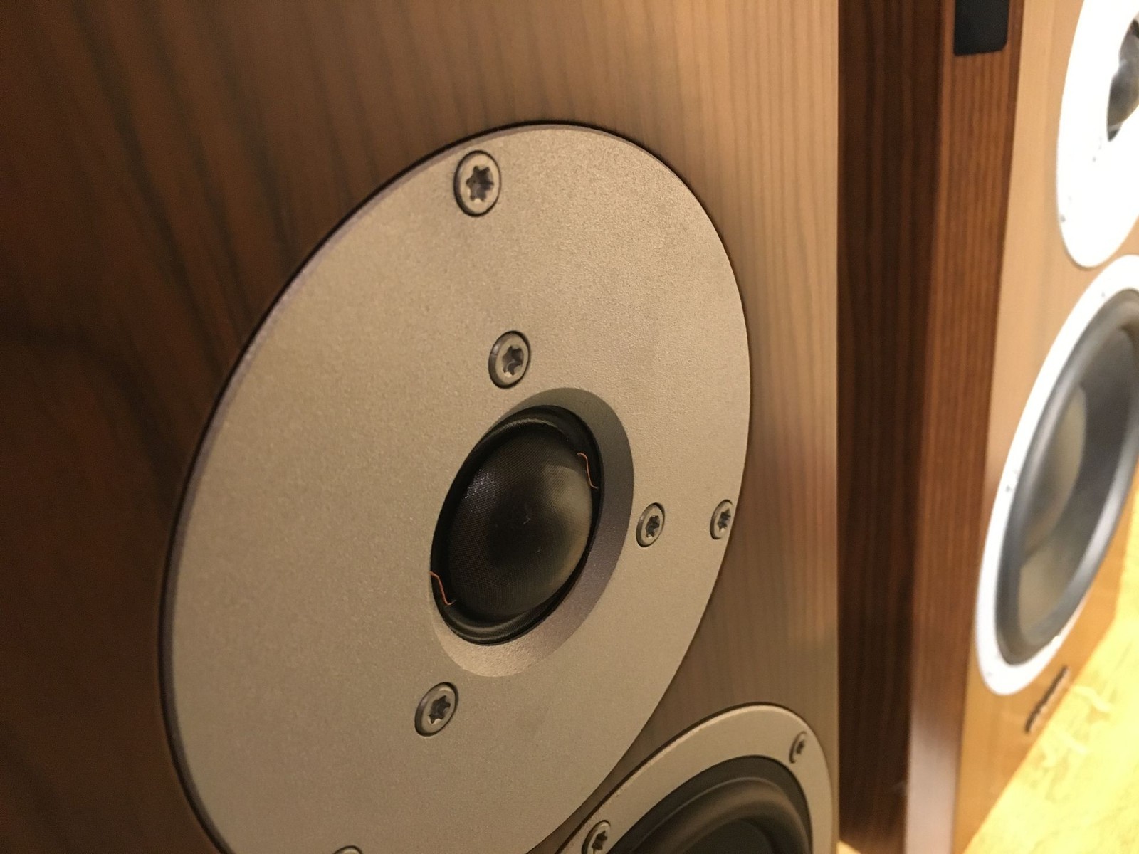 Dynaudio Focus 200 XD – walnuss Aktiver Regallautsprecher