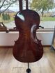 Cello Stradivari Gore Standmodell