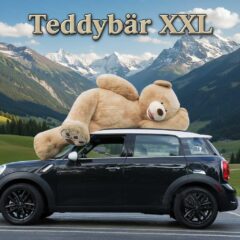 teddyxxl