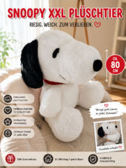 snoopy80